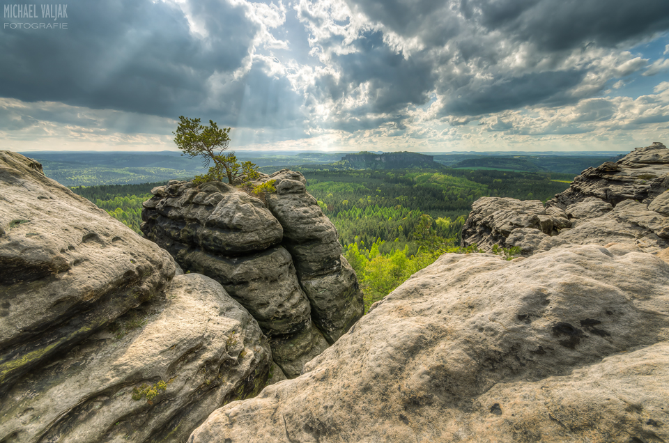 Sächsische Schweiz – Einsame Kiefer auf dem Gorisch
