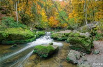 Herbst bei den Irreler Wasserfällen