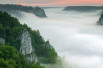 Über dem Nebelmeer im Donautal