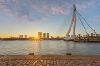 Ein Sonnenstern in Rotterdam