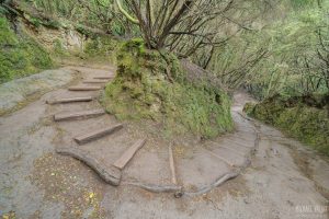 Teneriffa Wanderweg im Lorbeerwald im Anaga-Gebirge