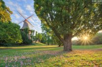 Mühle am Wall in Bremen