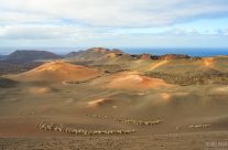 Blick in den Timanfaya Nationalpark auf Lanzarote