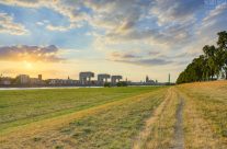 Abendlicht über den Poller Wiesen in Köln