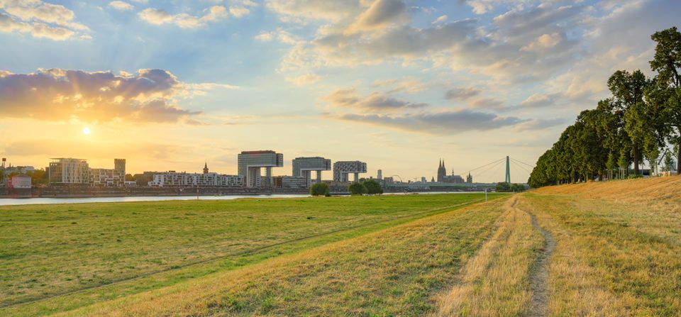 Abendlicht über den Poller Wiesen in Köln